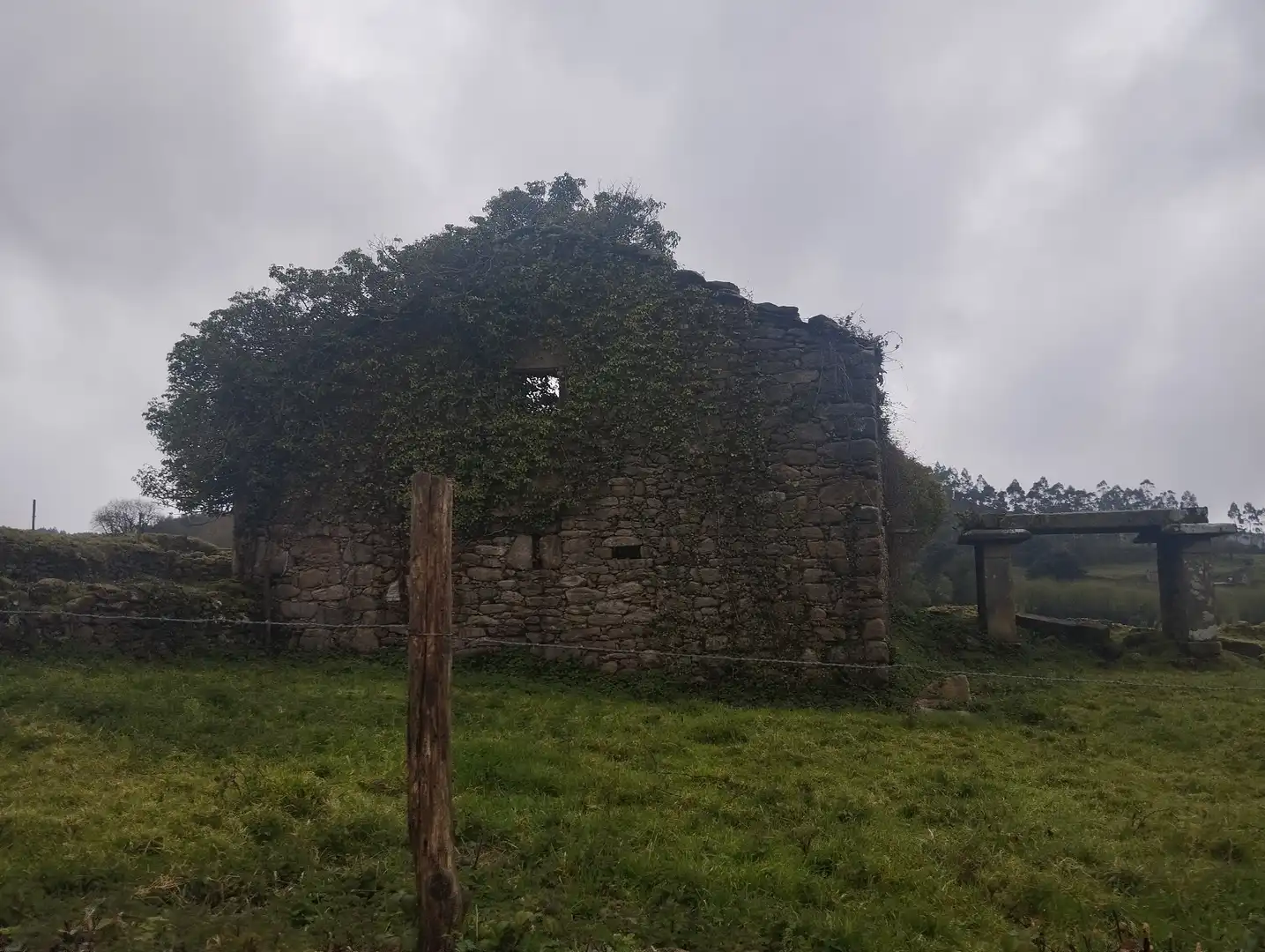 Vista exterior de Casa o chalet en venta en Viveiro