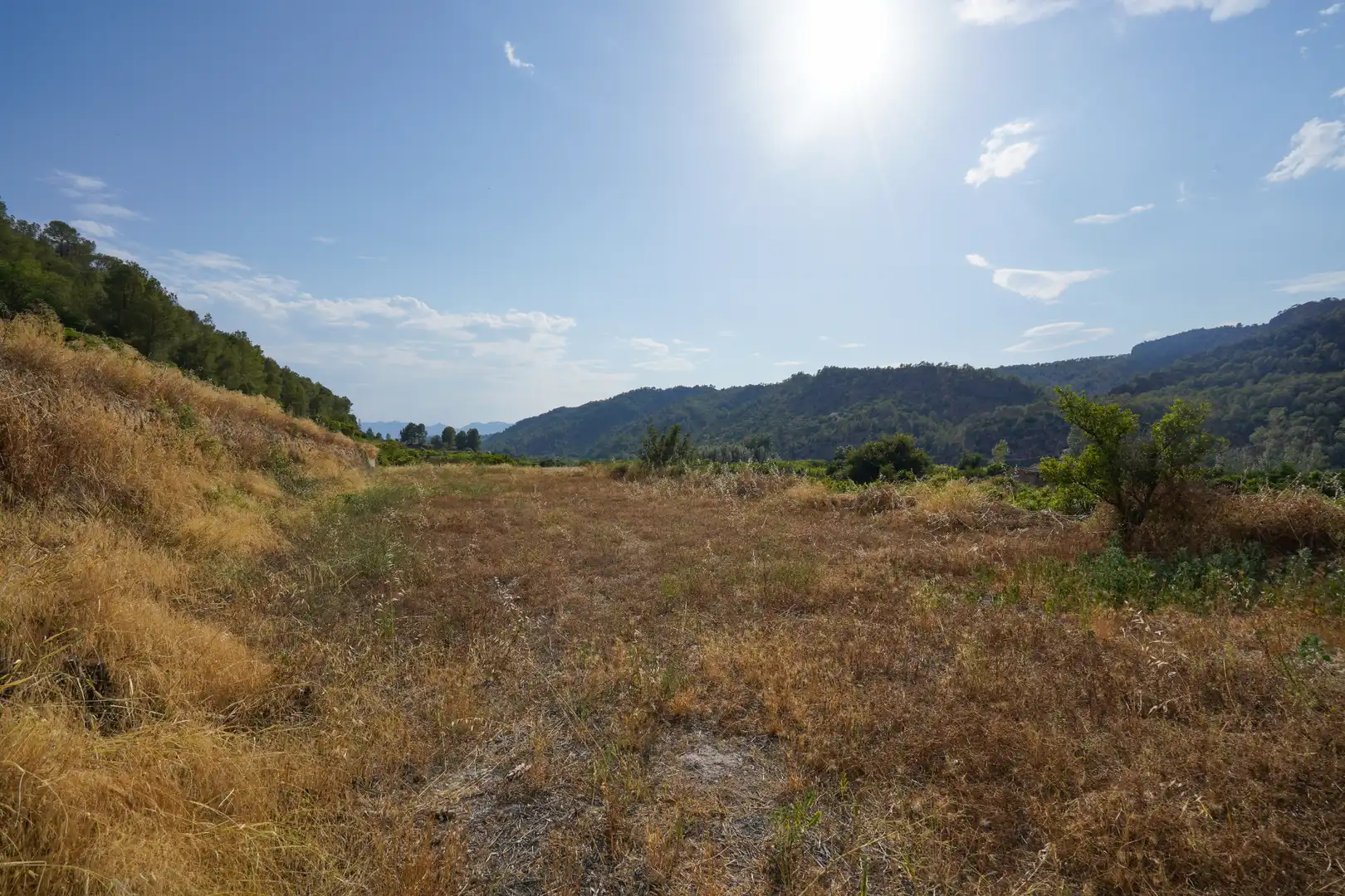 Terrain rustique à vendre à Benifallet, imagen 28