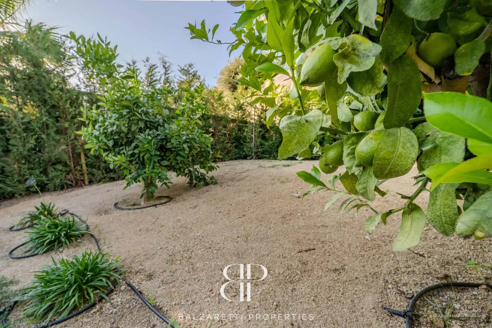 Jardí de Casa o xalet en venda en Lloret de Mar amb Aire condicionat, Calefacció i Jardí privat