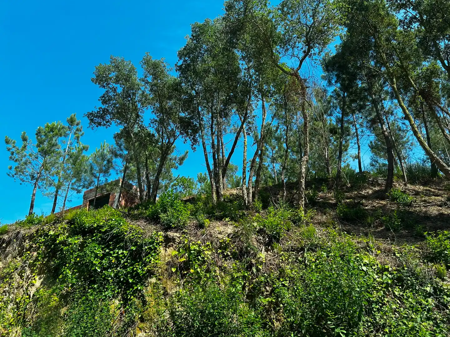 Terreno residencial en venta en Lloret Blau - La Creu de Lloret, imagen 3