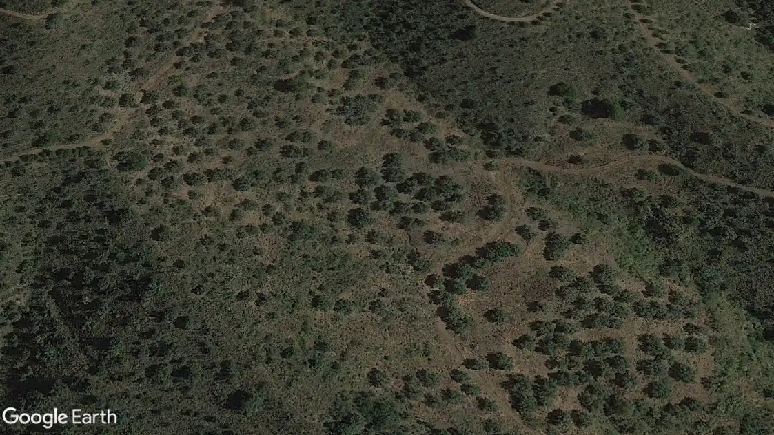 Terreny rústic en venda a Este, imagen 2