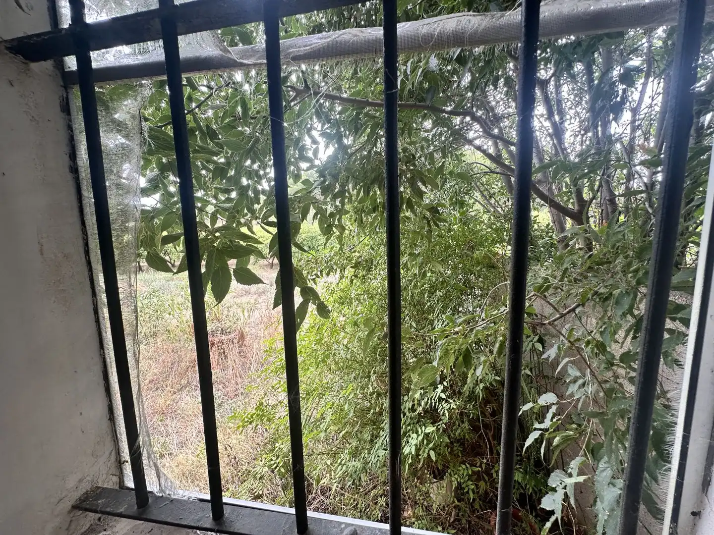 Balcony of Houses for sale in Algar de Palància  with Private garden, Storage room and Balcony