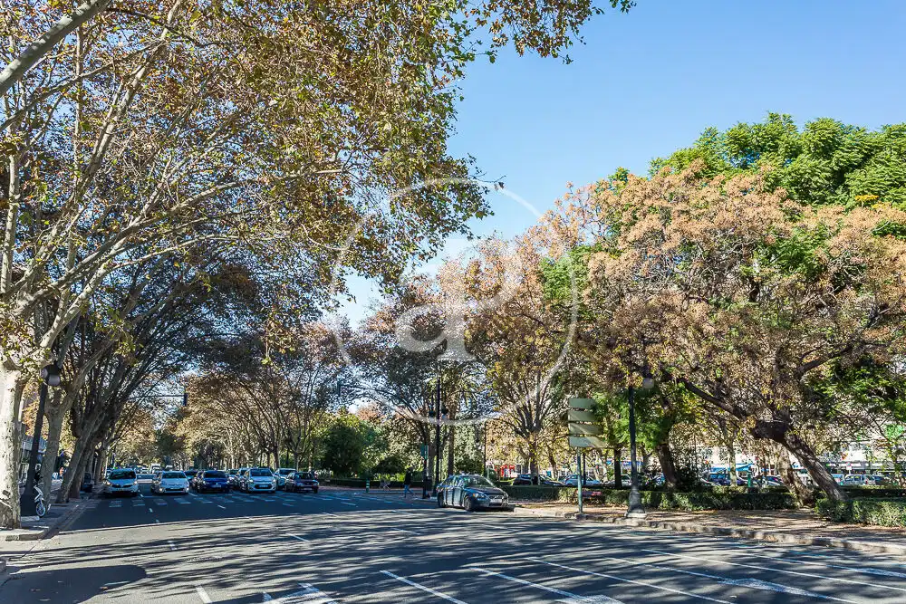 Flat for rent in Carrer de Xile, Mestalla