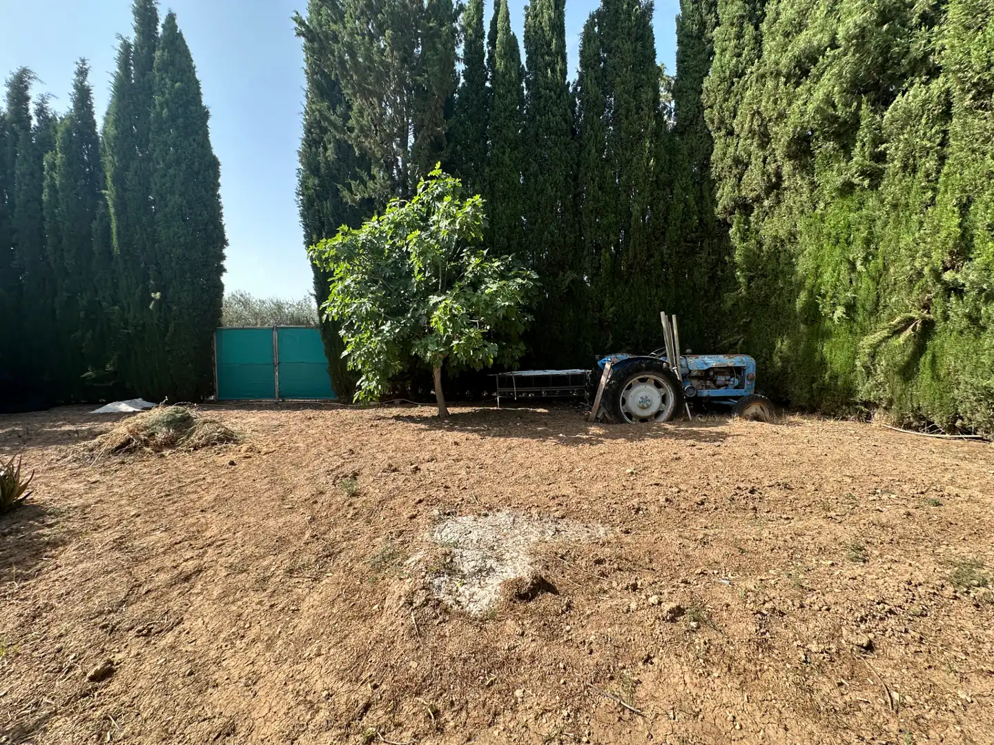 Lands and plots for sale in Centro, imagen 26