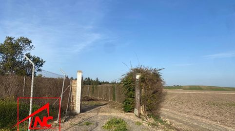 Foto 2 de Finca rústica en venta en Las Cabezas de San Juan, Sevilla
