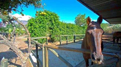 Foto 3 de Finca rústica en venda a Guadalobón, Estepona