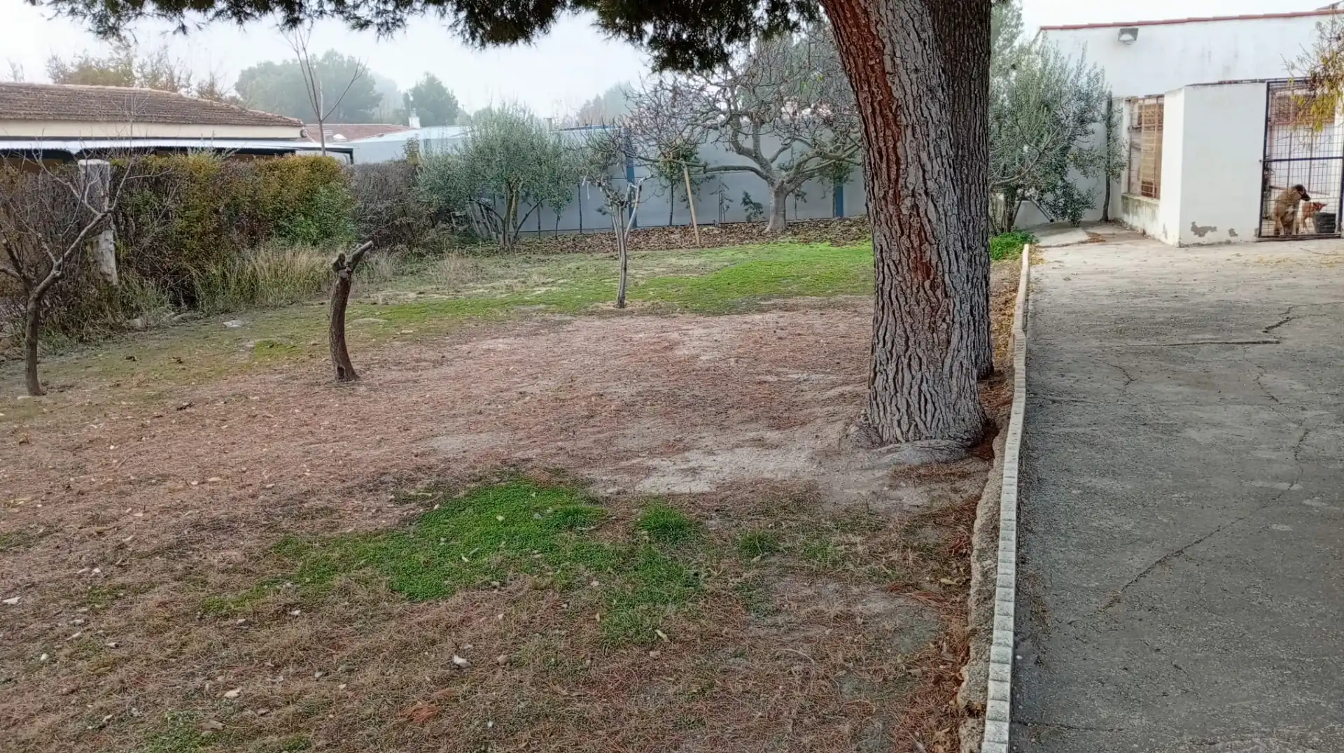 Xalet amb piscina en venda a Pedanías - Extrarradio, imagen 33