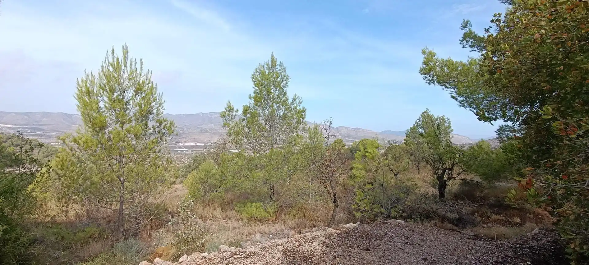 Haus zum Verkauf in Hondón de las Nieves / El Fondó de les Neus, imagen 3