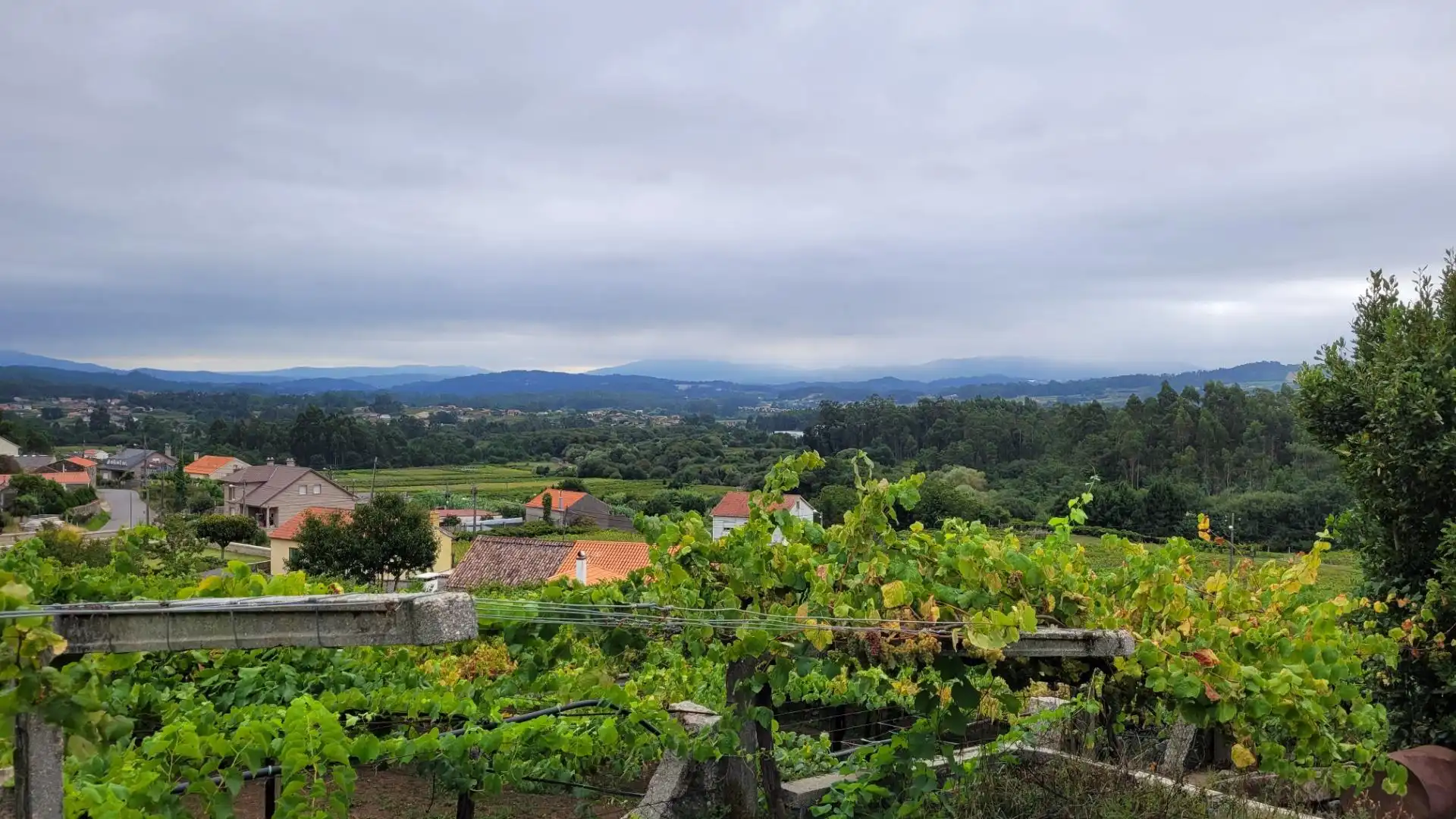 Xalet amb jardí en venda a Lugar CUIÑA-TREMOEDO, imagen 16