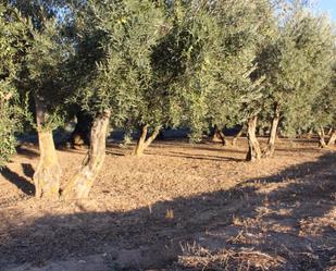 Finca rústica en venda en Otura