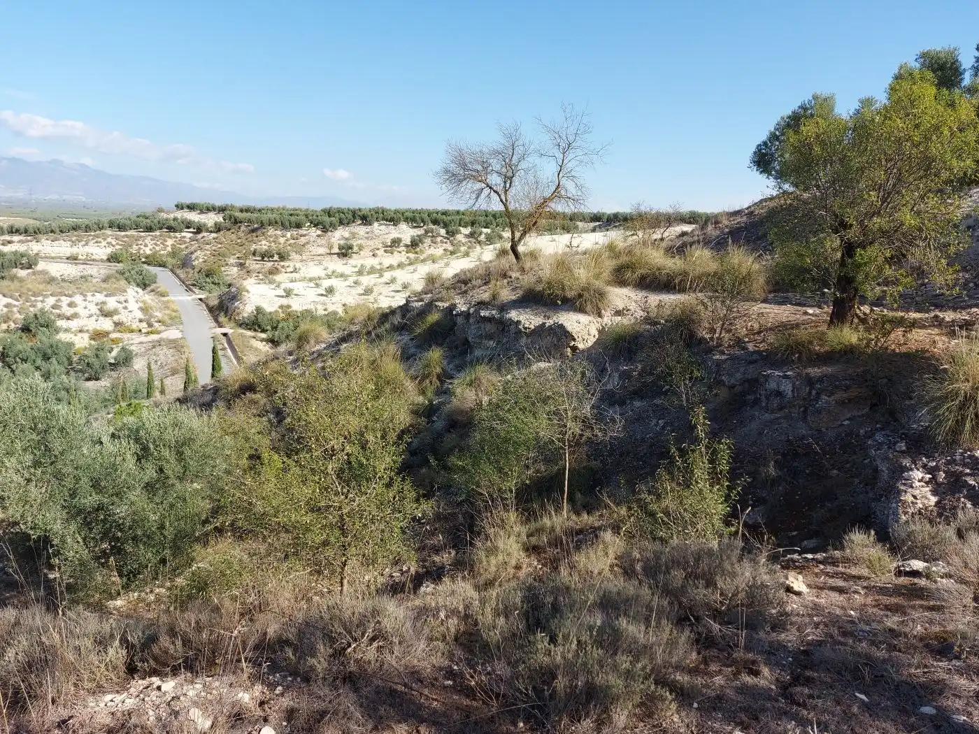 Maison à vendre à Cuevas del Campo, imagen 2