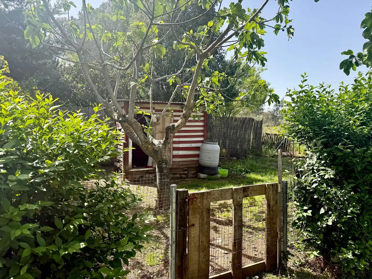 Garden of Country homes for sale in Plasencia  with Air Conditioner and Private garden