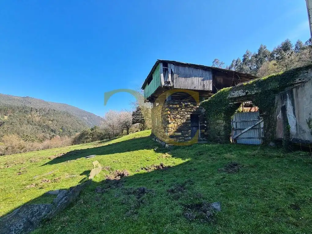 Vista exterior de Casa o xalet en venda en Villayón amb Jardí privat
