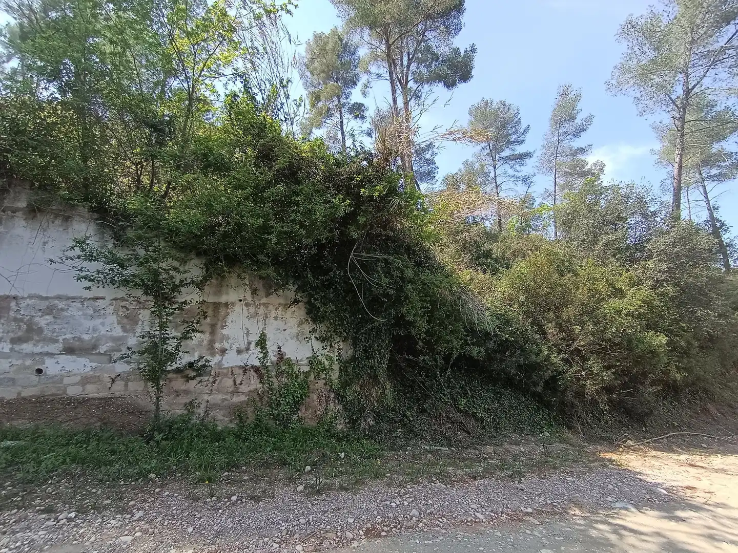 Terreno rustico in vendita a Piera, imagen 4