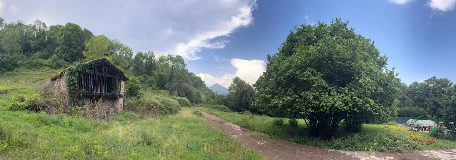 Land for sale in Quirós