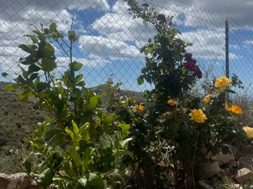 Terreno en venta en Rincón de la Victoria
