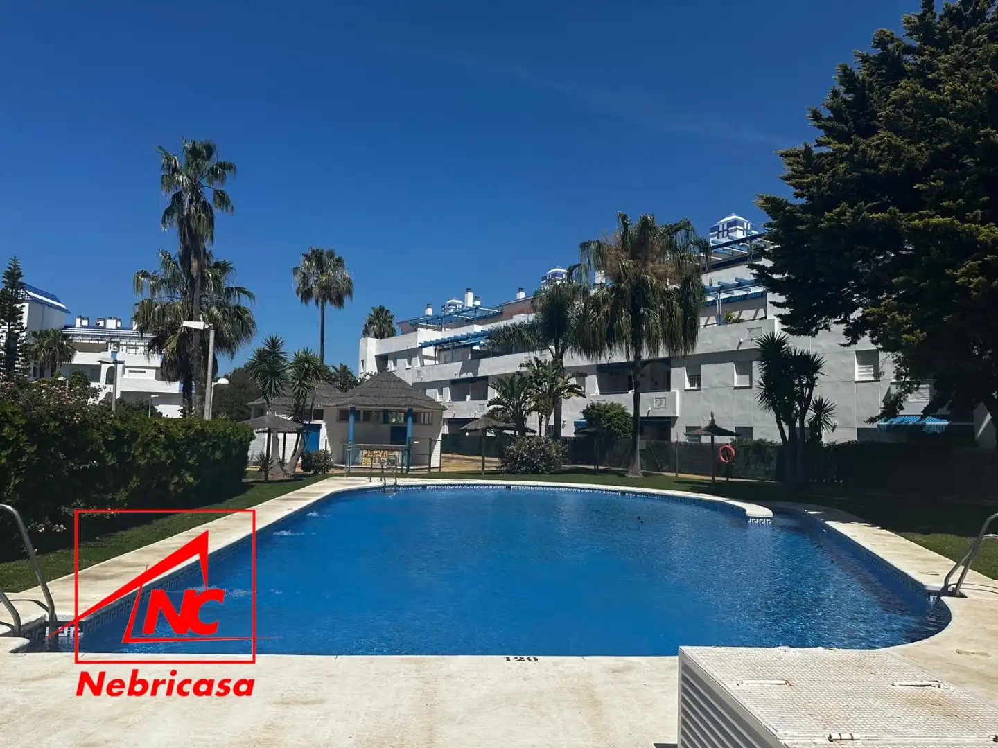 Exterior view of Flat for rent in Rota  with Terrace, Swimming Pool and Furnished