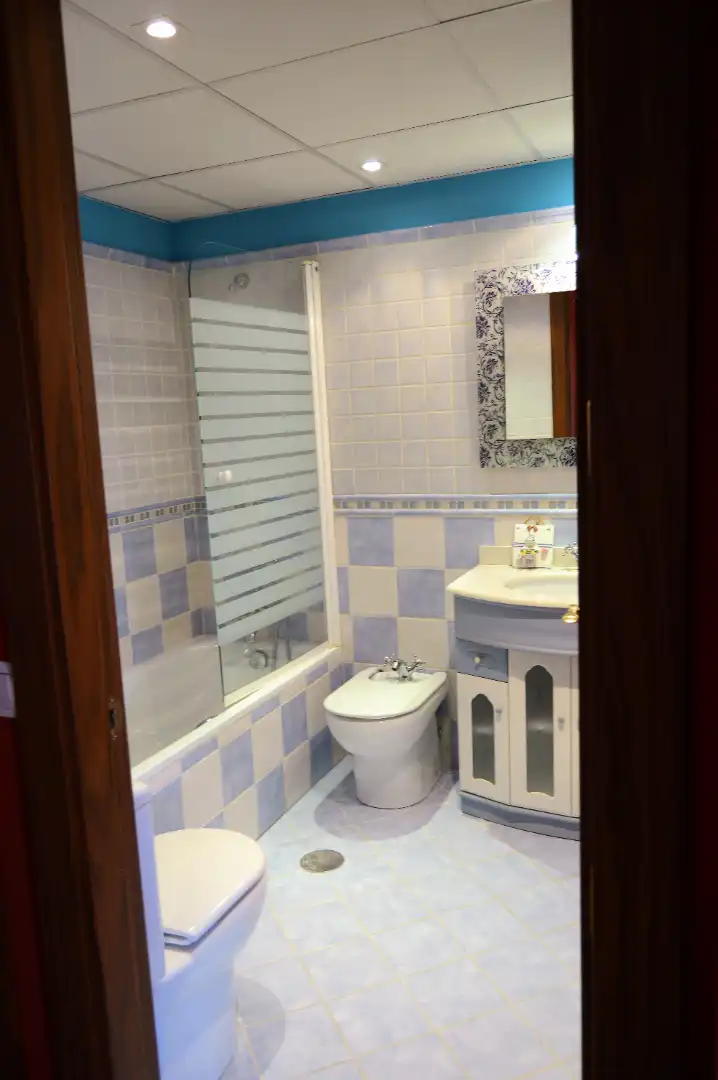 Bathroom of Attic for rent in Madrid  with Air Conditioner, Heating and Parquet flooring