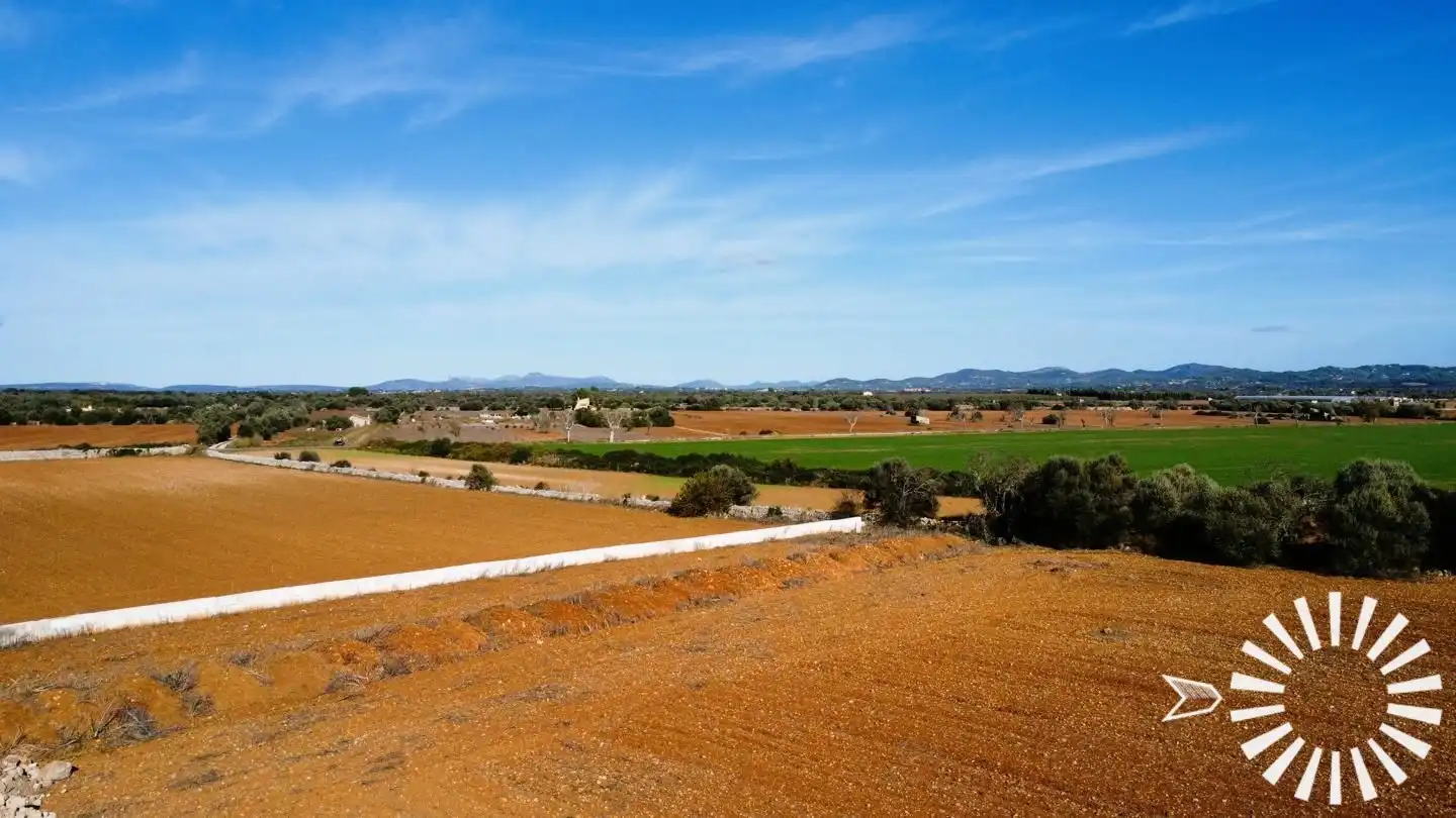 Rural land for sale in Poligono  3 Parcela 167-170, imagen 14