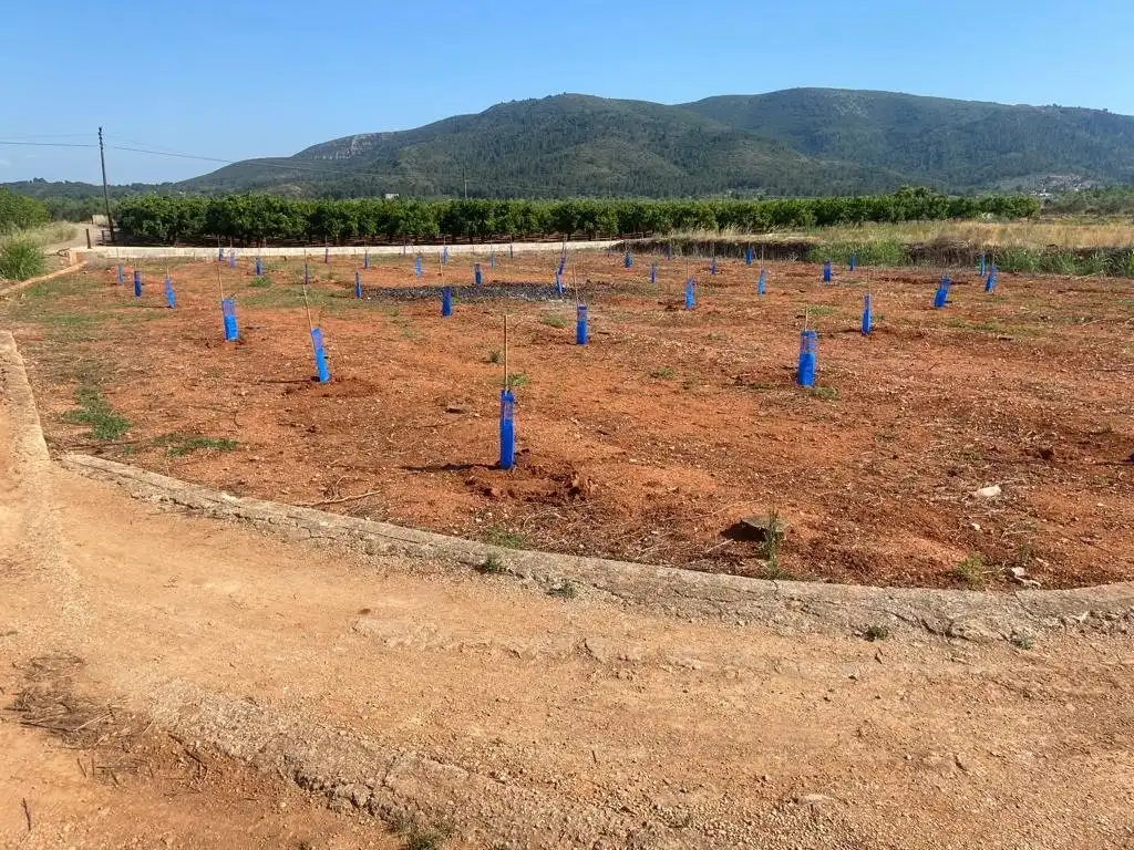 Terreno en venta en Anna