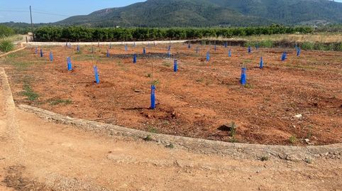 Foto 4 de Terreno en venta en Anna, Valencia