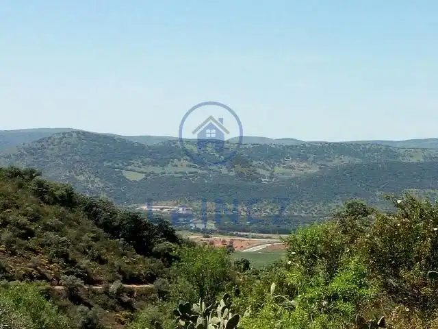 Rural land for sale in Espiel, imagen 9