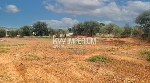 Terreno de media hectárea edificable para inversión, imagen 2