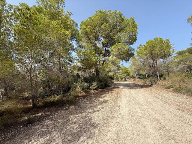 Terreno en Venta en Pla de l'assagador en Sierra Helada