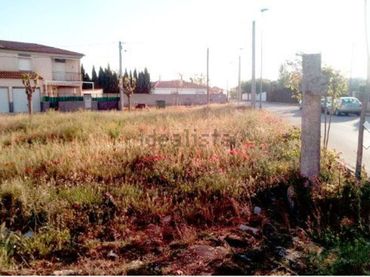 Terreni e lotti in vendita a Calvario 23