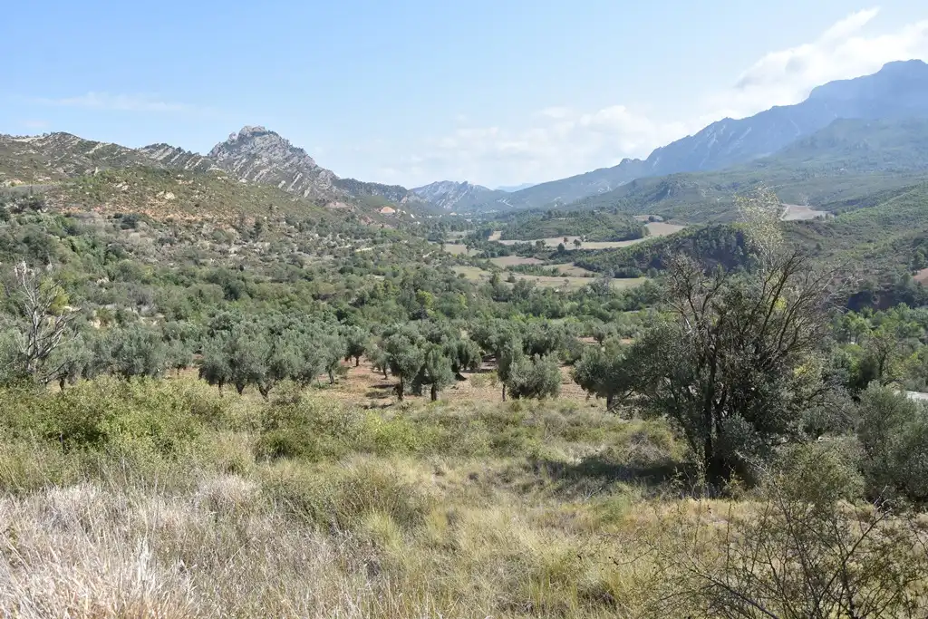 Rural land for sale in Mas de la Riba 1, imagen 13