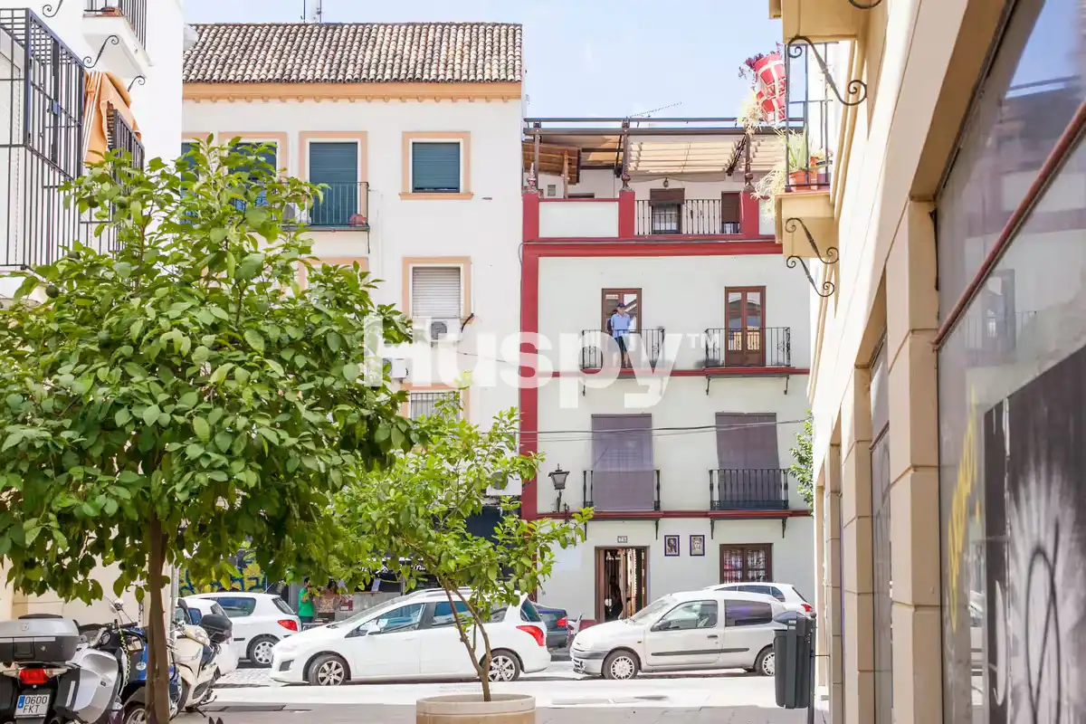 Àtic amb terrassa en venda a Calle Castilla, imagen 19