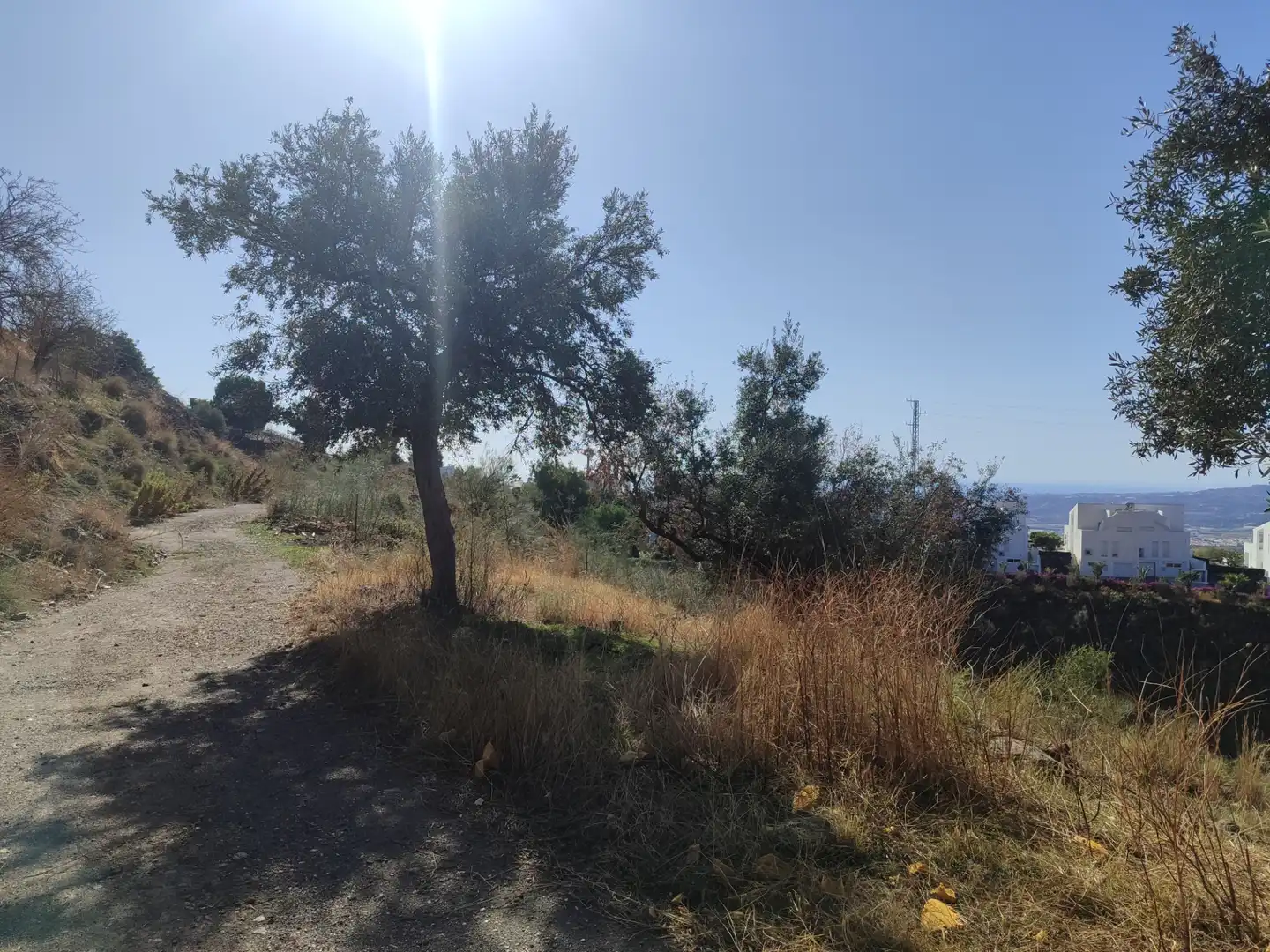 Terreny en venda en Algarrobo