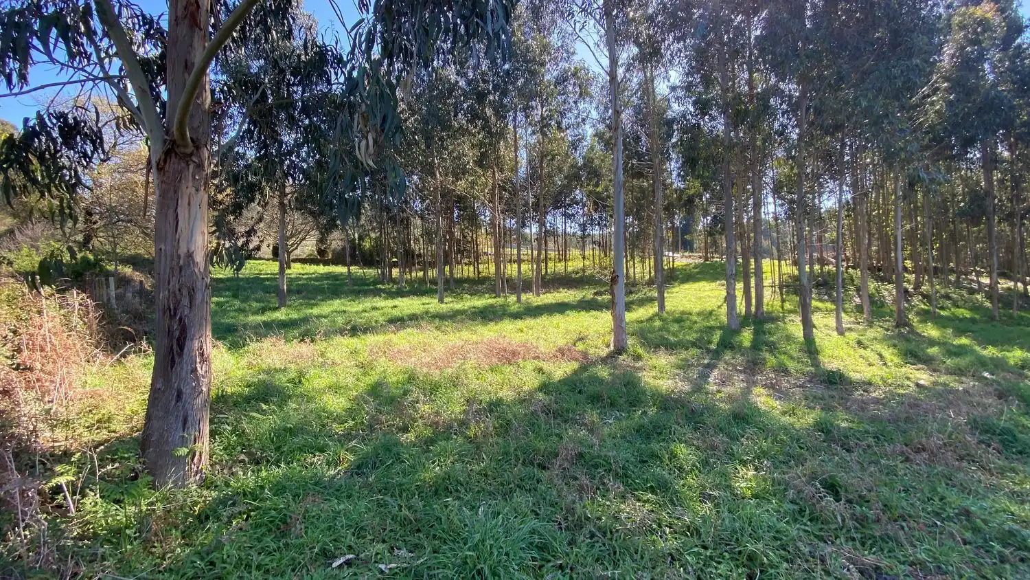 Terreni e lotti in vendita a Rúa Camiño dos Muiños 18, imagen 10