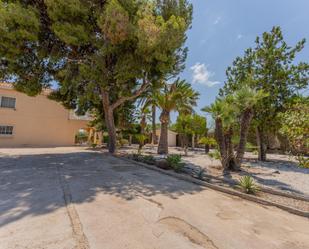 Exterior view of House or chalet for sale in Elche / Elx