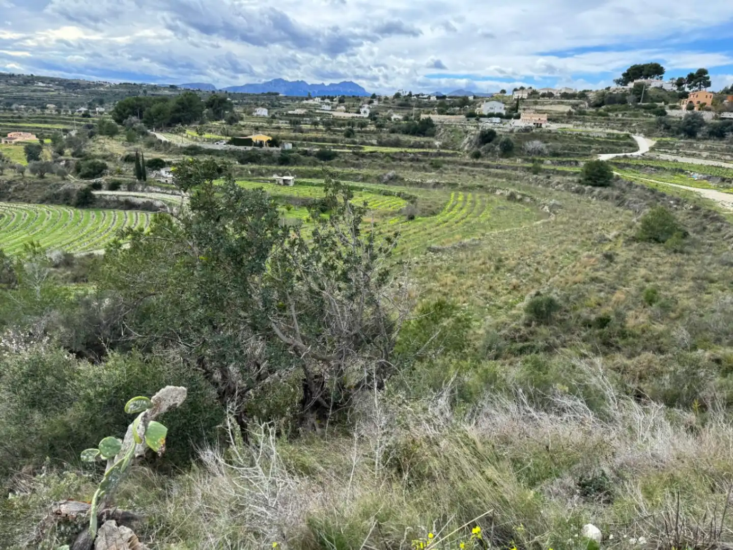 Terreny residencial en venda a Teulada, imagen 8