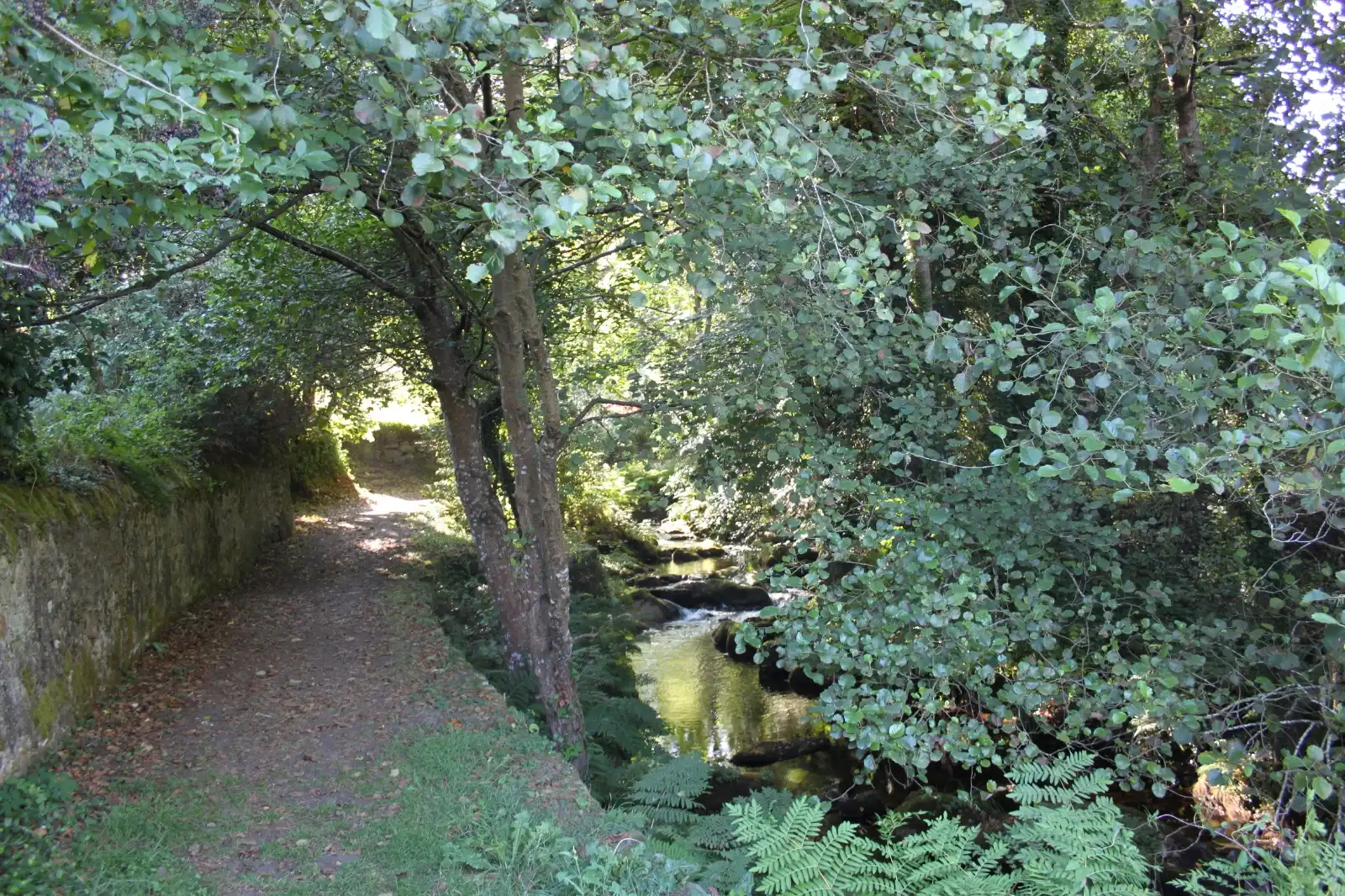 Casa amb jardí en venda a Camiño do Camino Muino 10, imagen 41