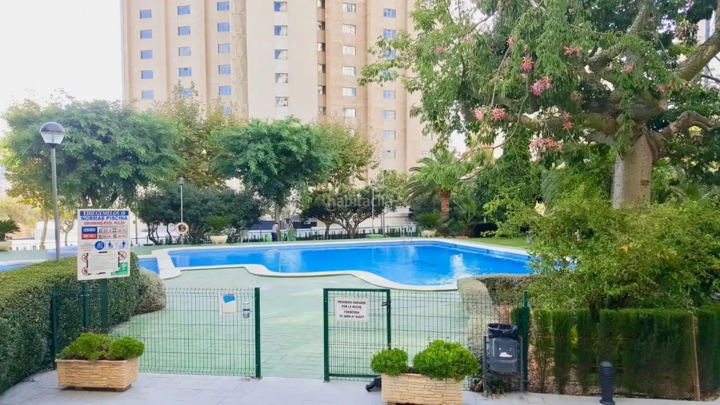 Pis amb piscina de lloguer a Avenida del Doctor Orts Llorca 21, imagen 10