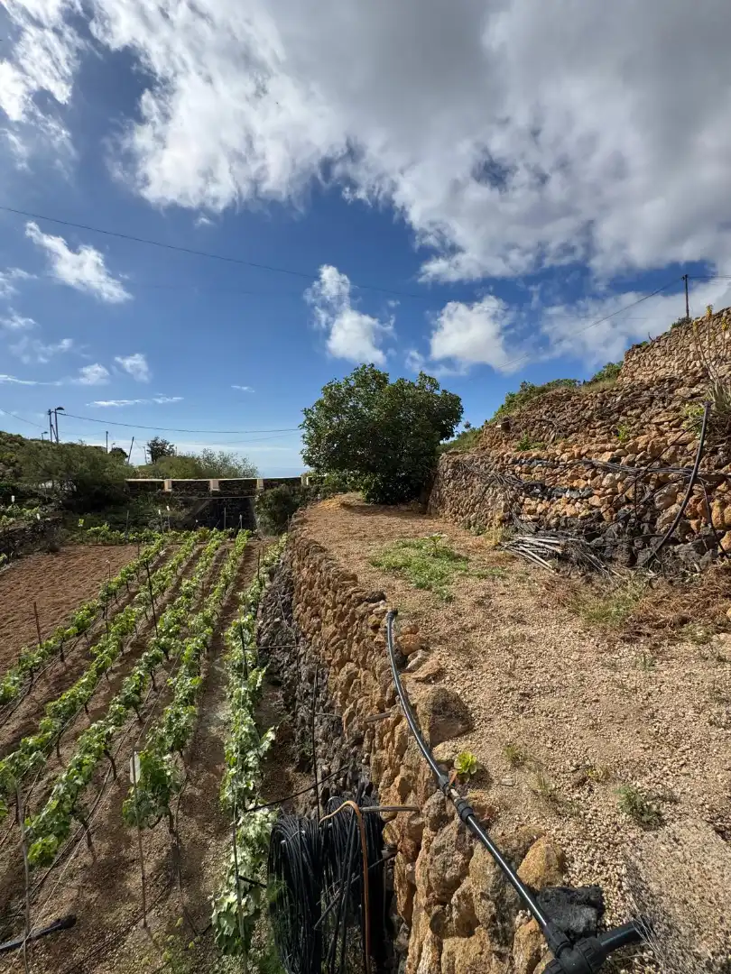 Casa rústica amb terrassa en venda a Avenida de los Asientos 6, imagen 54