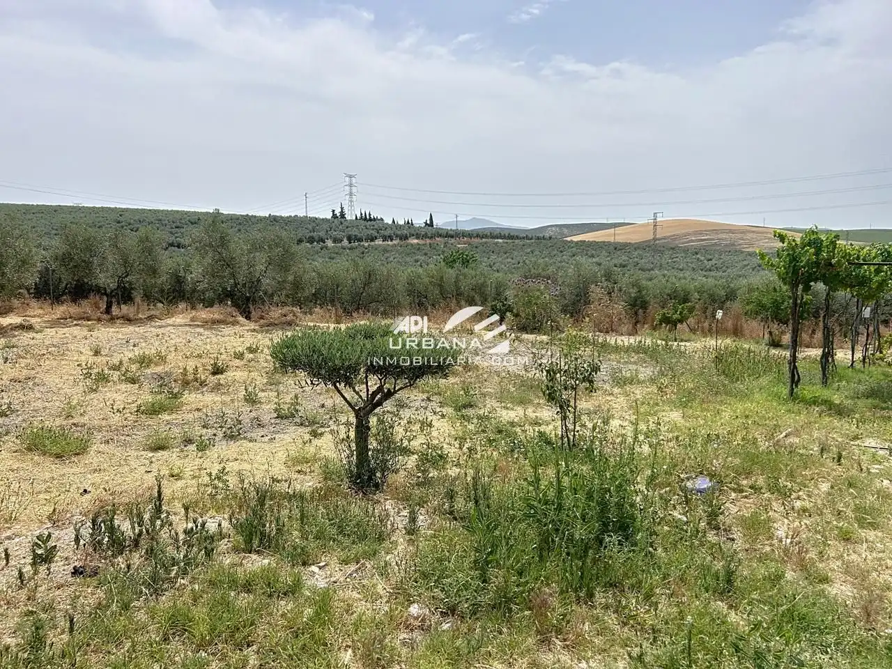 Casa amb piscina en venda a Cuesta Baltasar, imagen 27