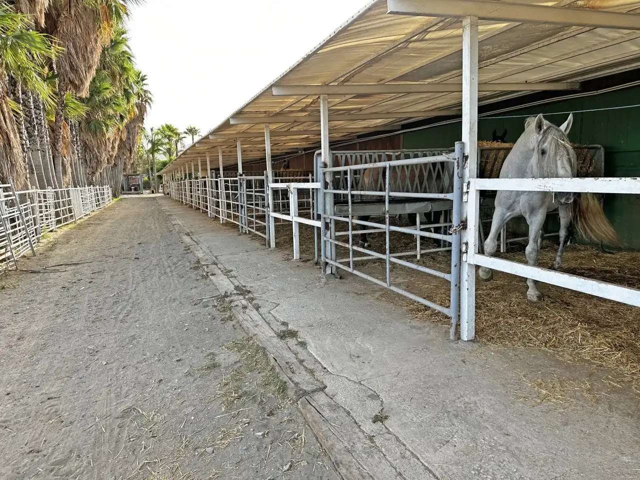 Wohnbaugrundstück zum Verkauf in Bailén - Miraflores, imagen 2