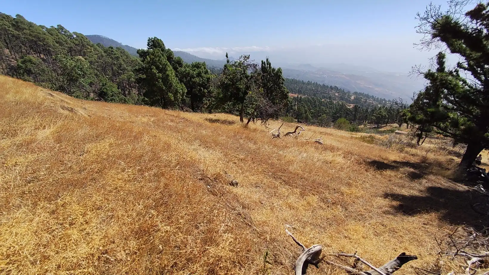 Rural land for sale in Machado - Las Barreras