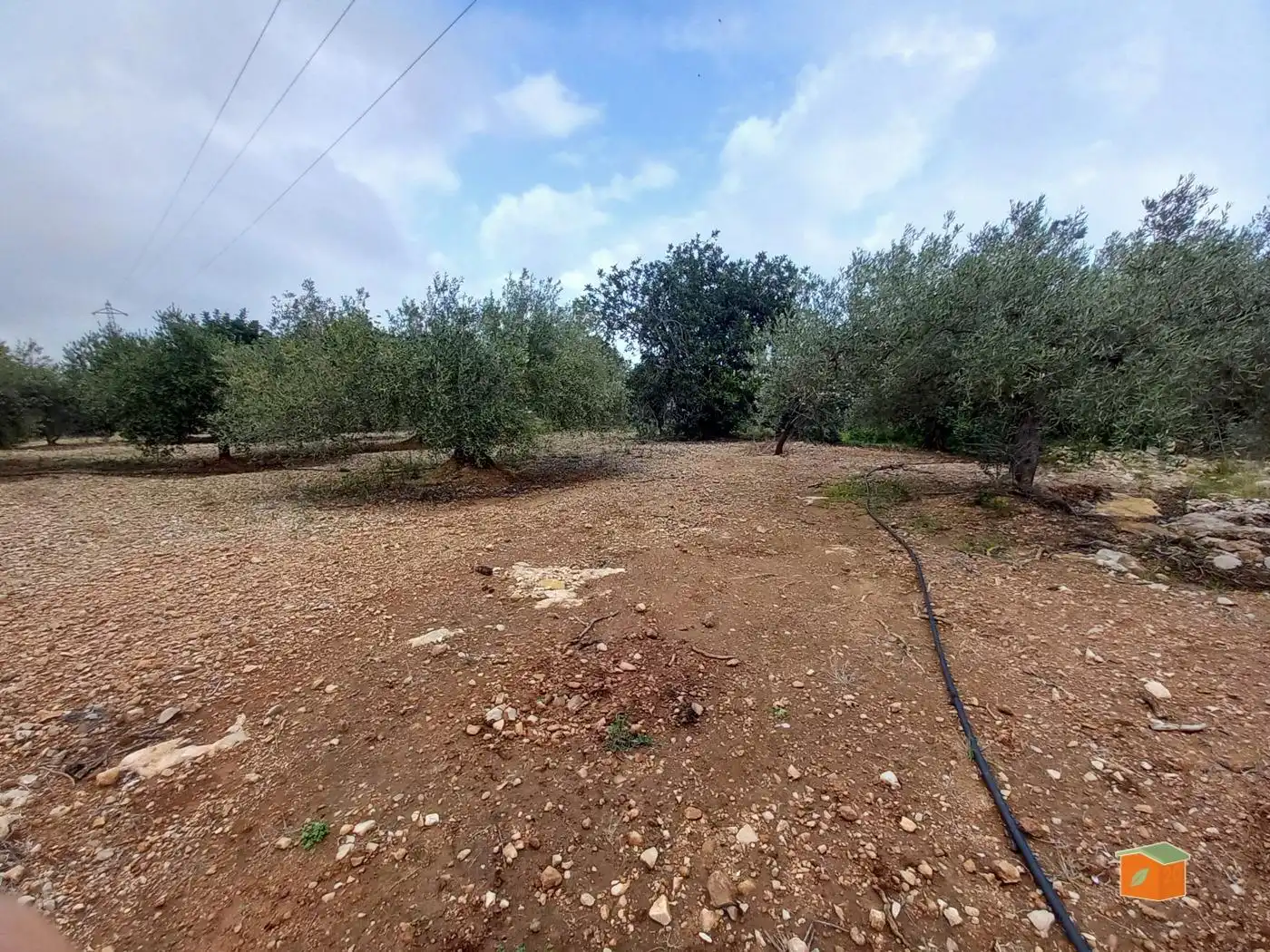 Terreno rustico in vendita a Alcanar, imagen 9