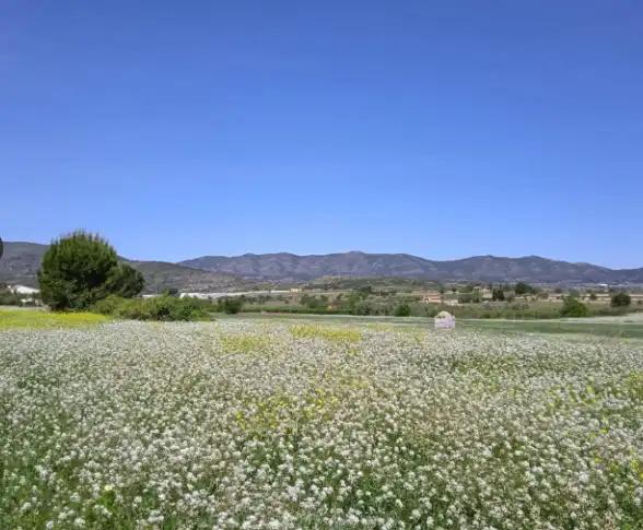 Terreno rustico in vendita a Agullent, imagen 3