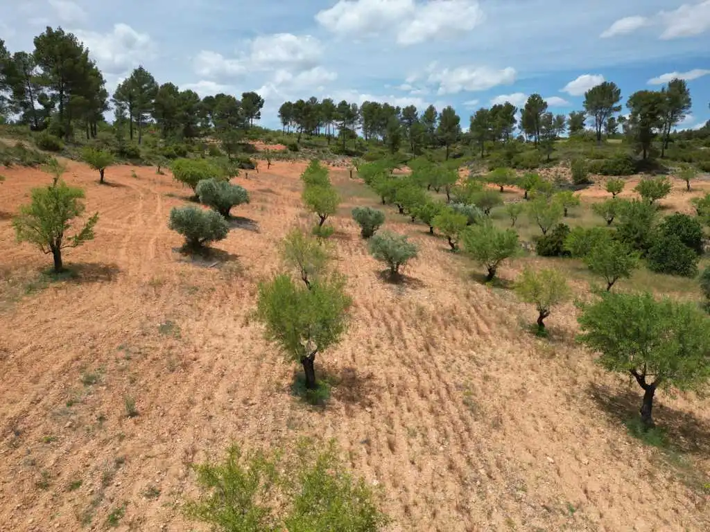 Residential for sale in Vallejo De La Tia Casta, Mira