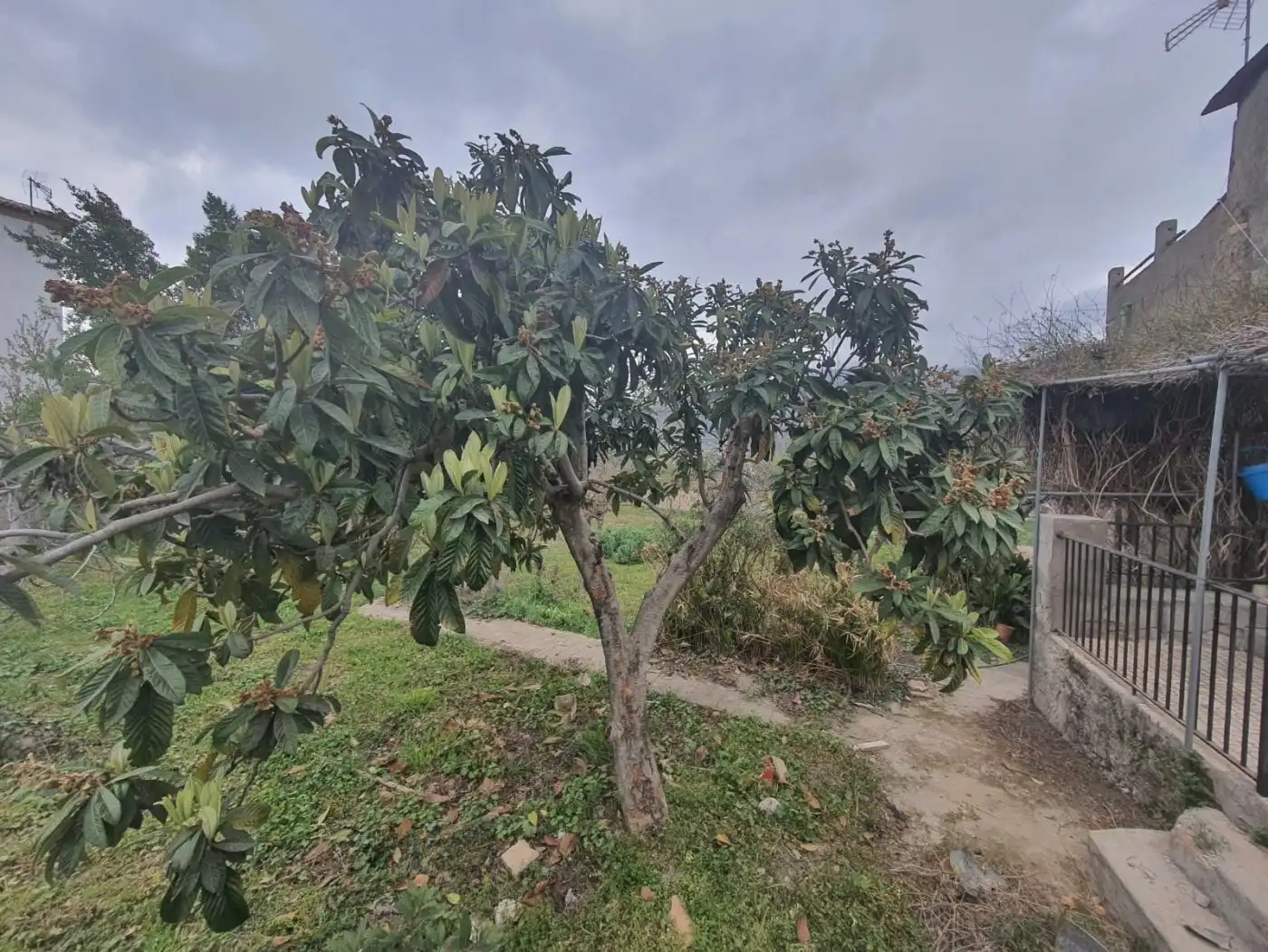 Finca rústica en venda en Fondón