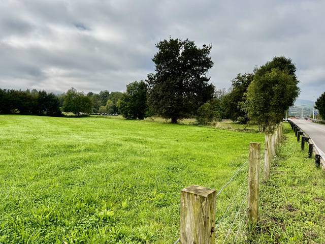 Terreno residencial en Venta en Saro - BO SARO DE ABAJO, 1 en Saro