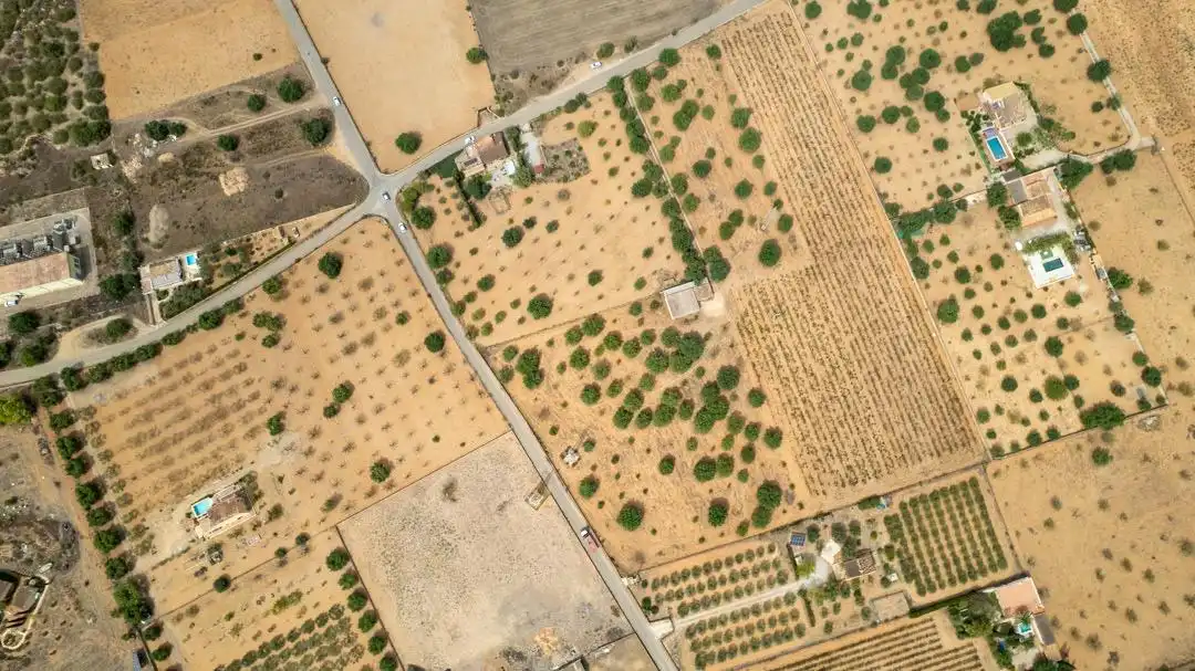 Land for sale in Consell