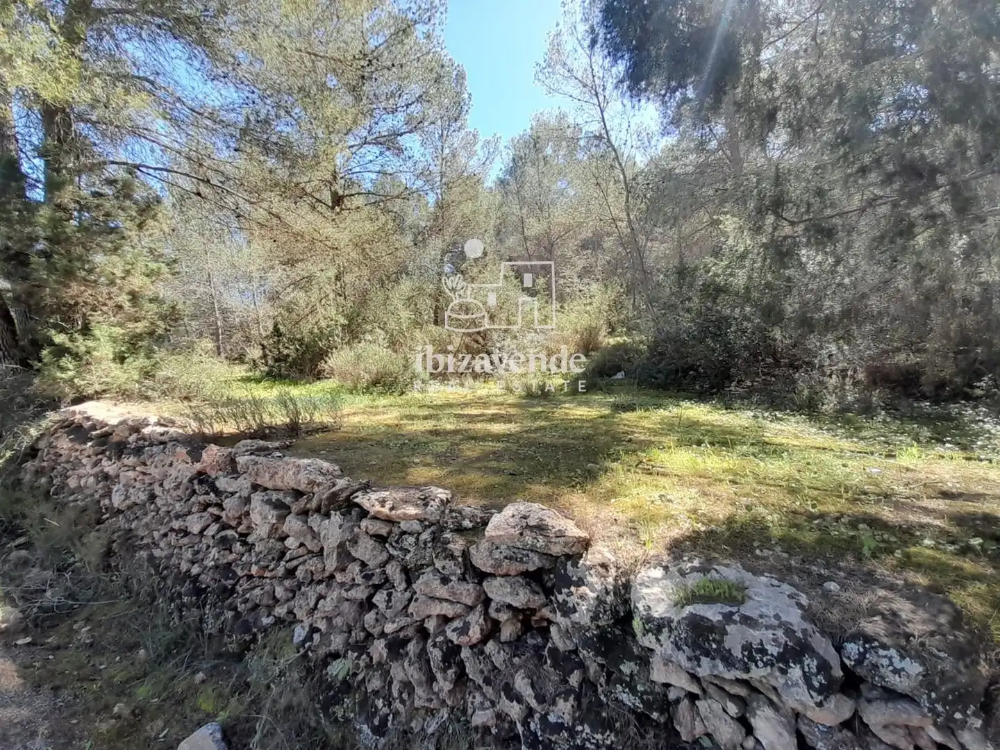 Terreny rústic en venda a es Pujolet, imagen 15