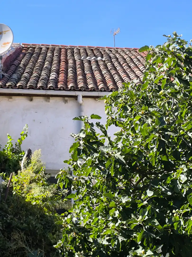Casa con jardín en venta en Calle Abilio Calderón 3, imagen 55