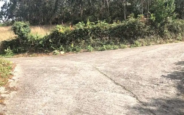 Terreno rustico in vendita a Camino DE LOS CIERROS-CALDONES, imagen 29